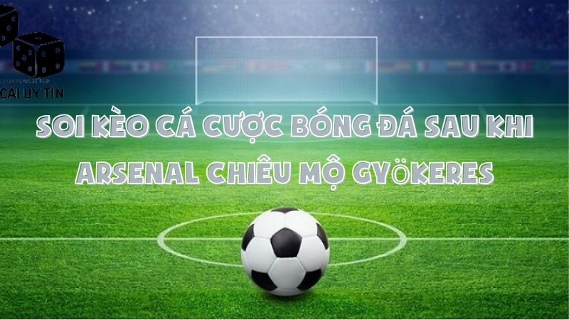 Tasty Soi Kèo Cá Cược Bóng Đá Sau Khi Arsenal chiêu mộ Gyökeres
