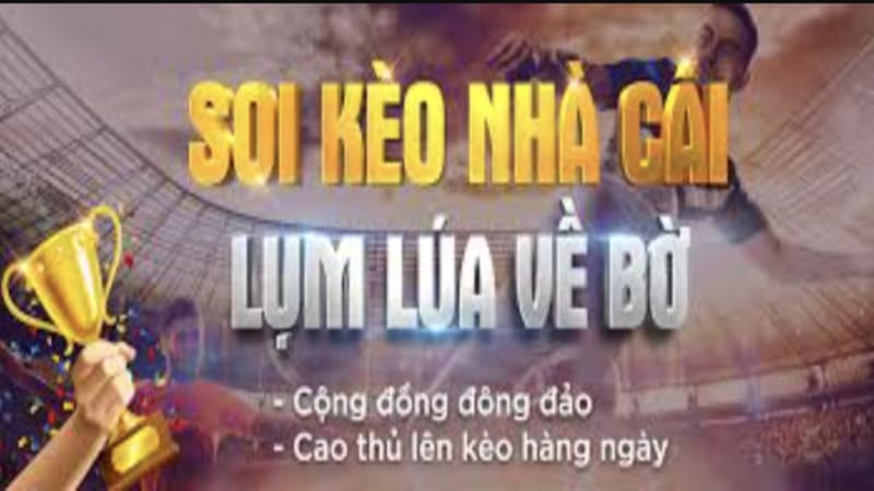 Phân Tích Kèo Chuẩn Xác Hôm Nay