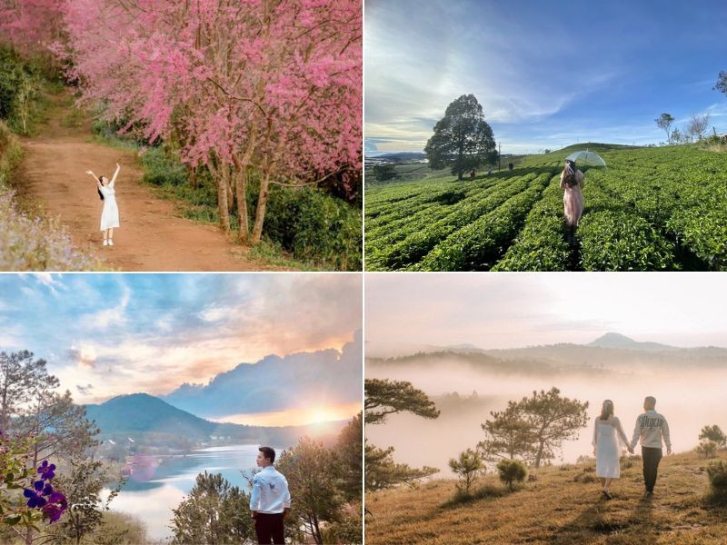 Du lịch Đà Lạt tháng 1 với những trải nghiệm đáng thử đầu năm