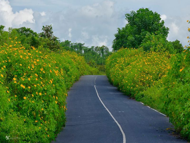 Đà Lạt tháng 10 mang vẻ đẹp giao mùa