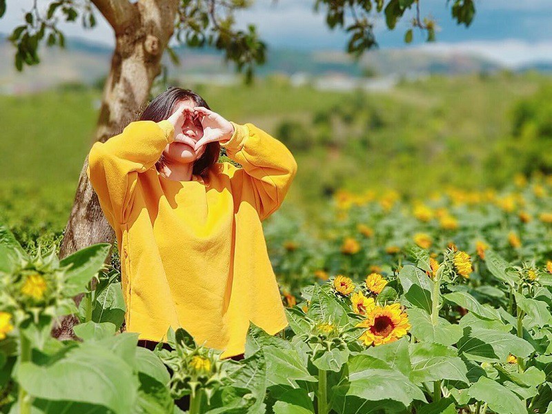 Trải nghiệm Đà Lạt về đêm theo cách chậm rãi