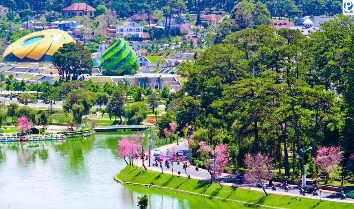 Đà Lạt tháng 8 với những cảnh sắc và trải nghiệm đặc trưng