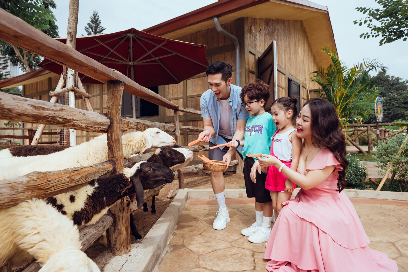 Khu vui chơi và trải nghiệm vận động cho trẻ lớn hơn