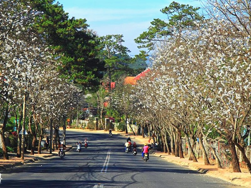 Thời tiết Đà Lạt tháng 3 có đặc điểm gì?