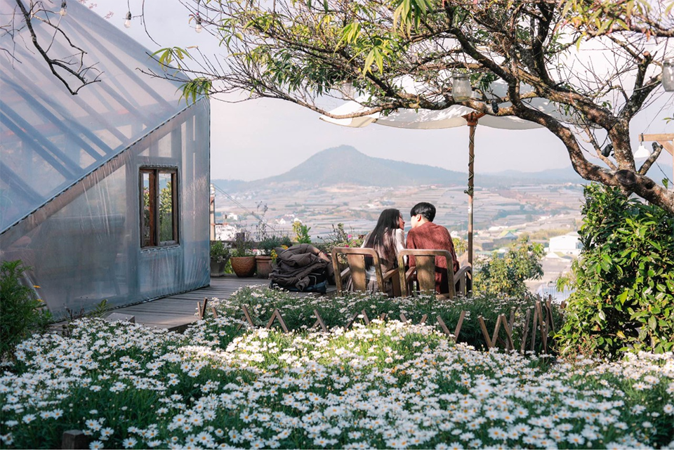Top quán cafe view đẹp ở Đà Lạt được giới trẻ yêu thích